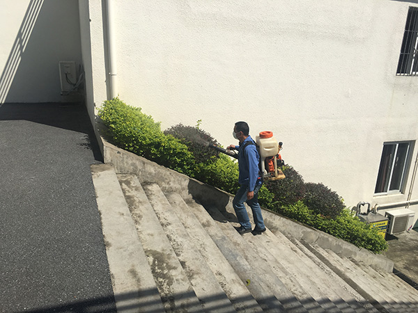 專業四害消殺服務，讓四害遠離您的生活
